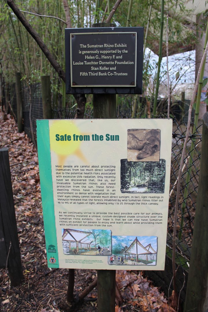 Wildlife Canyon- Sumatran Rhino Exhibit