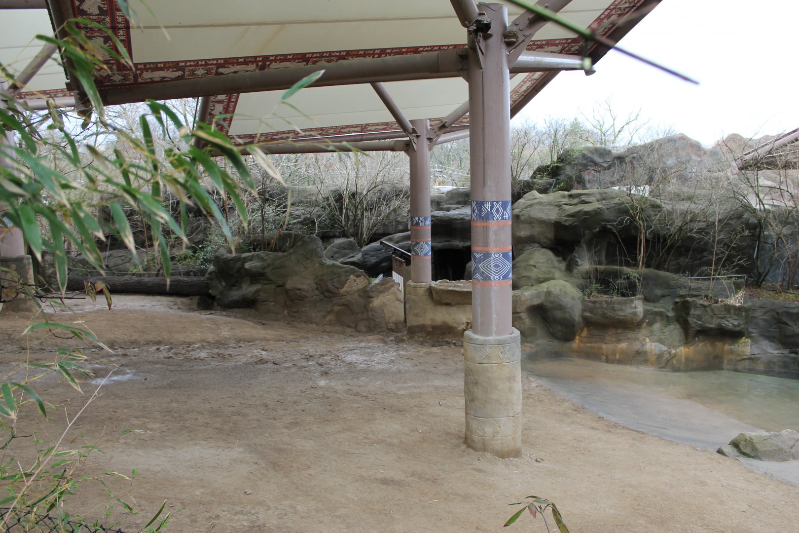 Wildlife Canyon- Sumatran Rhino Exhibit