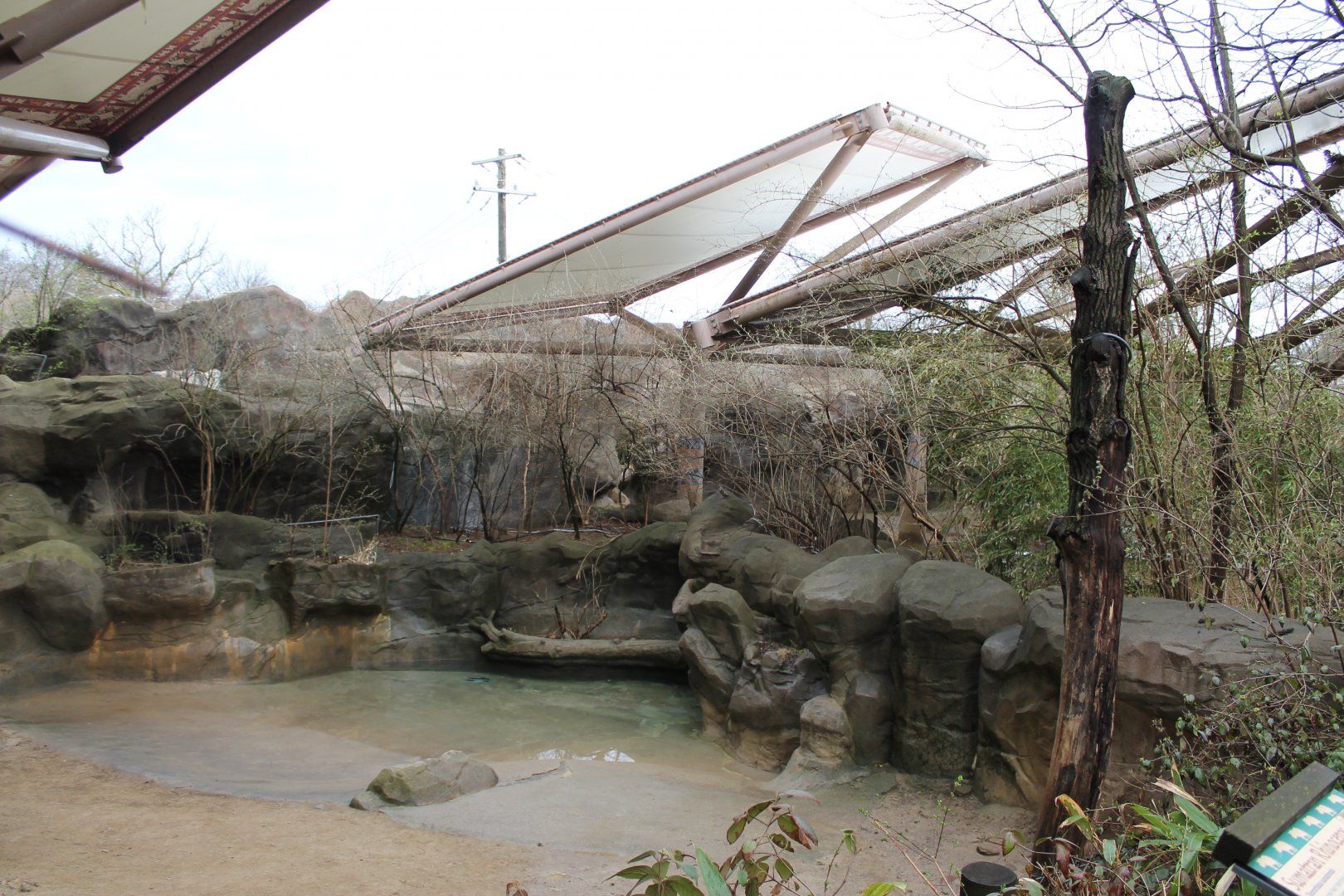 Wildlife Canyon- Sumatran Rhino Exhibit