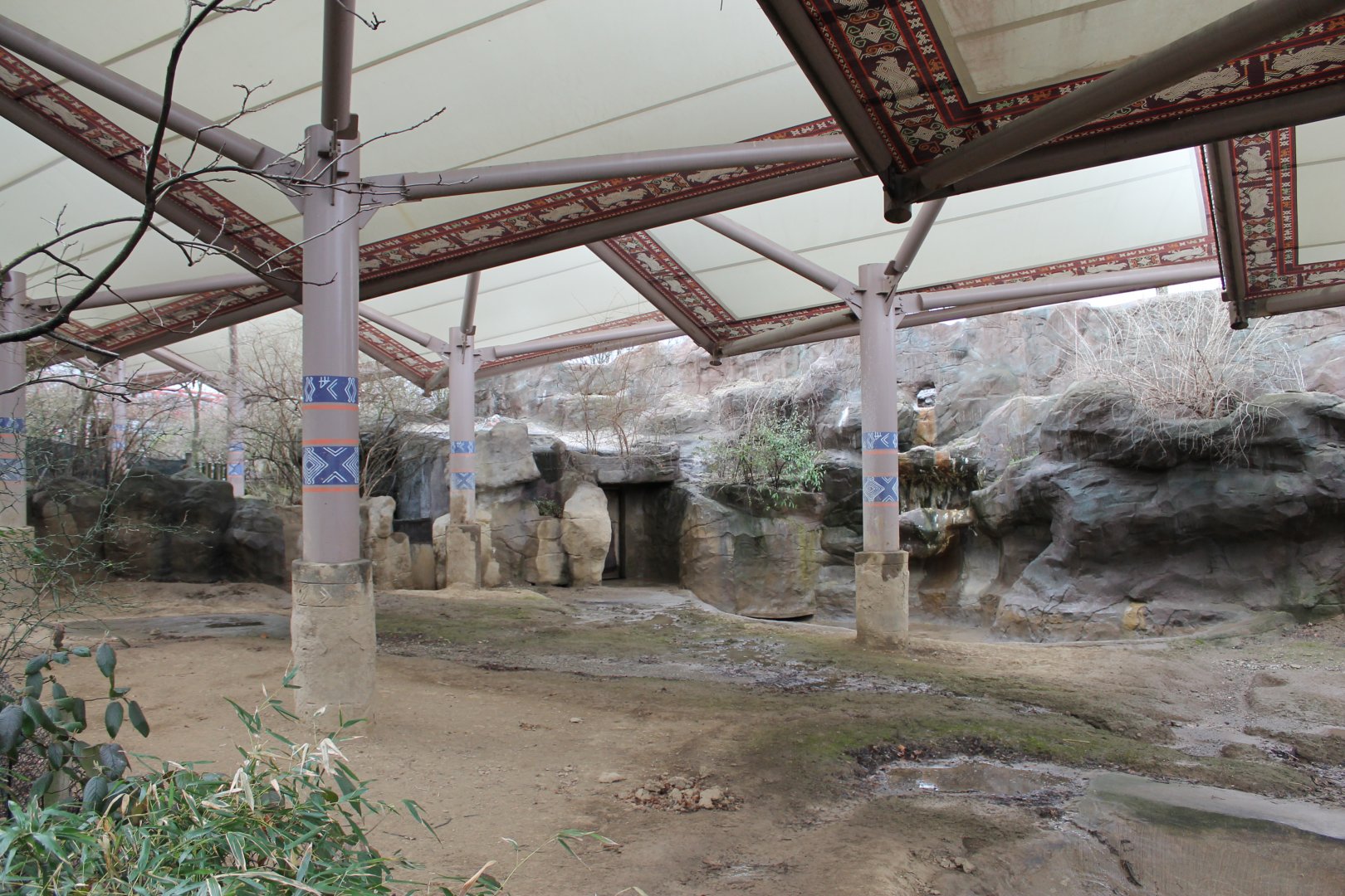 Wildlife Canyon- Sumatran Rhino Exhibit