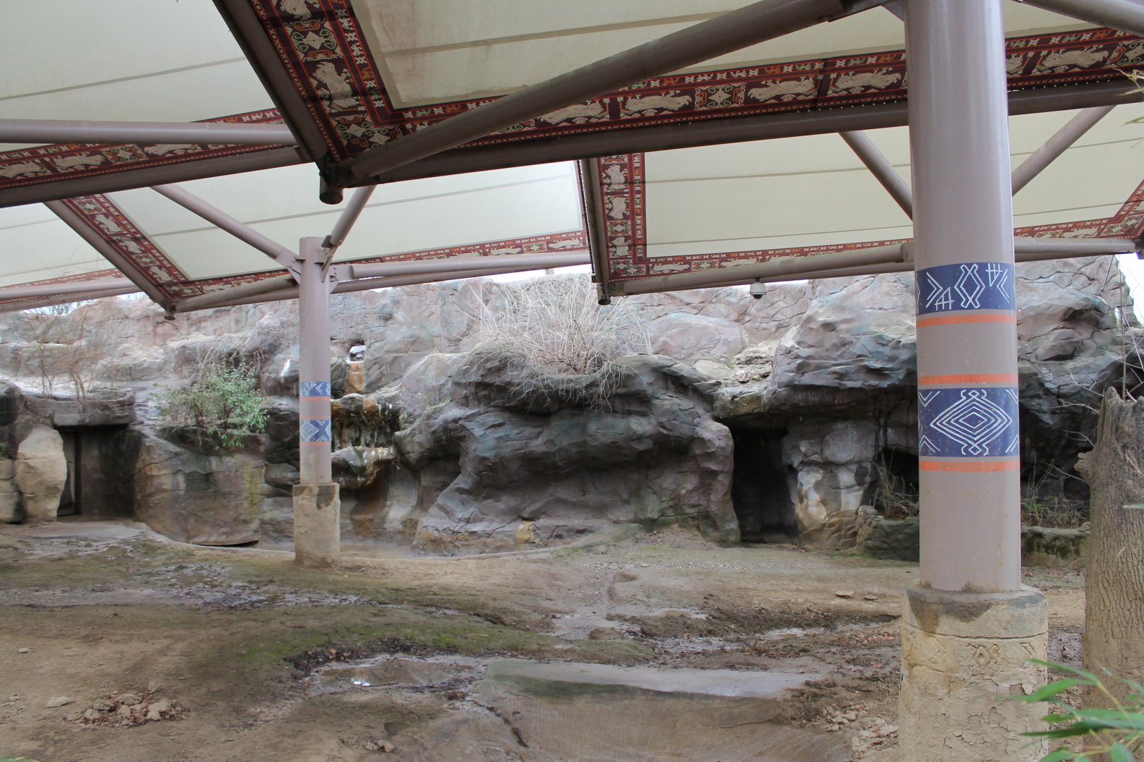 Wildlife Canyon- Sumatran Rhino Exhibit