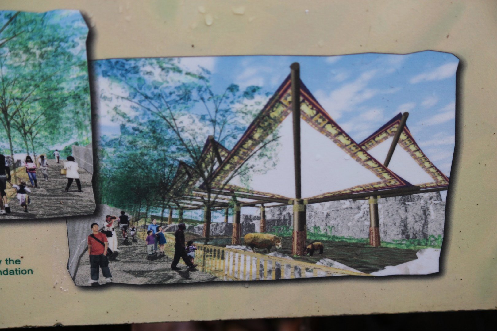 Wildlife Canyon- Sumatran Rhino Exhibit