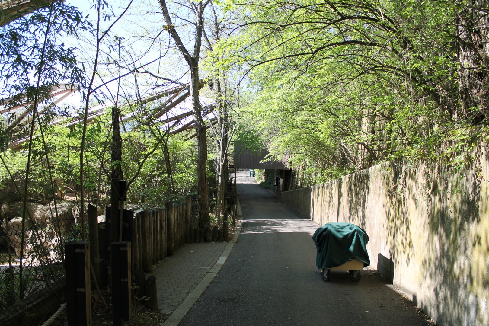 Wildlife Canyon- Sumatran Rhino Exhibit