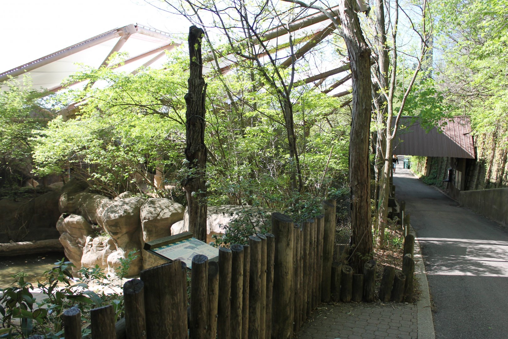 Wildlife Canyon- Sumatran Rhino Exhibit