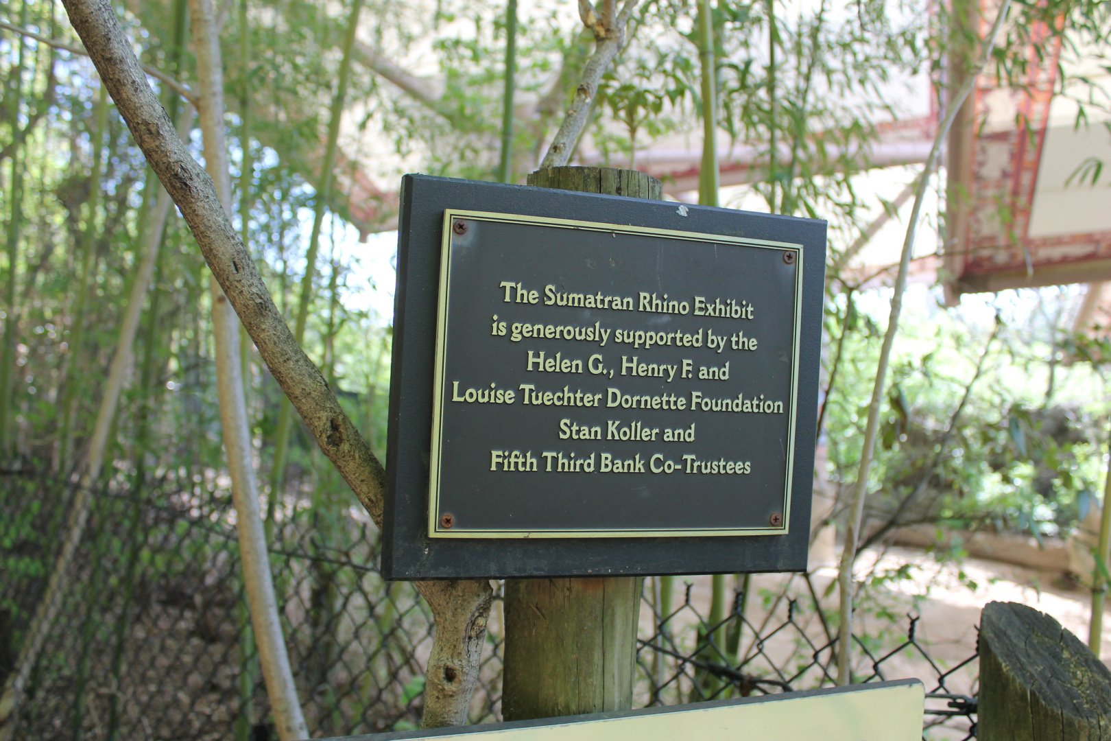 Wildlife Canyon- Sumatran Rhino Exhibit