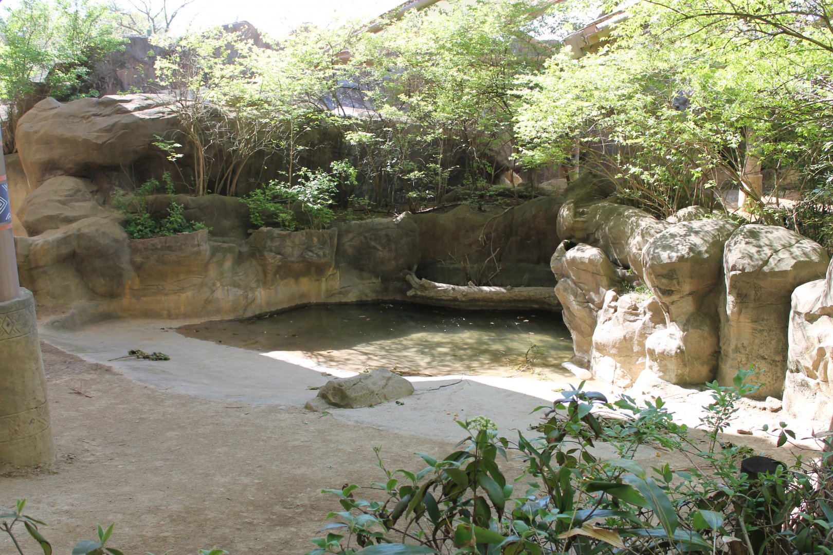 Wildlife Canyon- Sumatran Rhino Exhibit