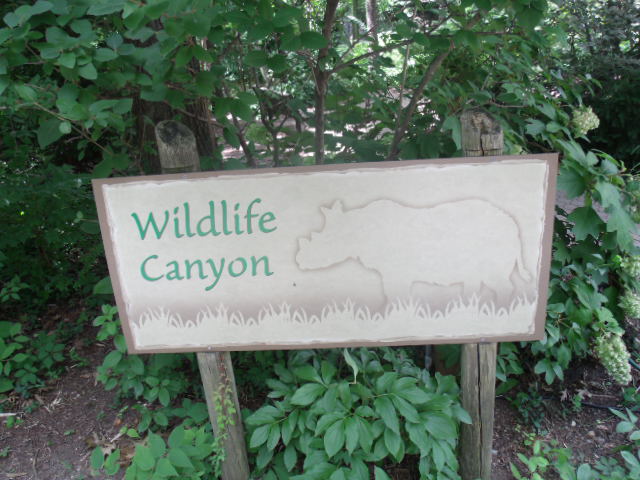 Wildlife Canyon
