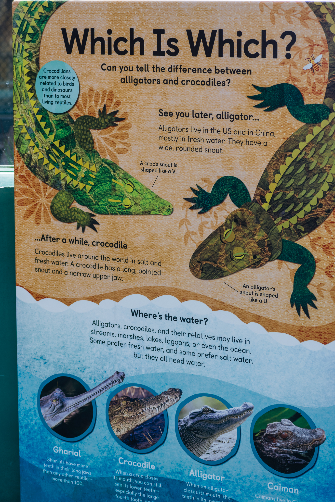 Wildlife Explorers Basecamp