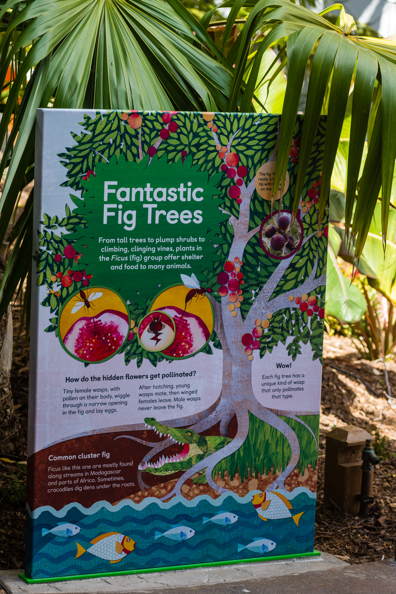 Wildlife Explorers Basecamp