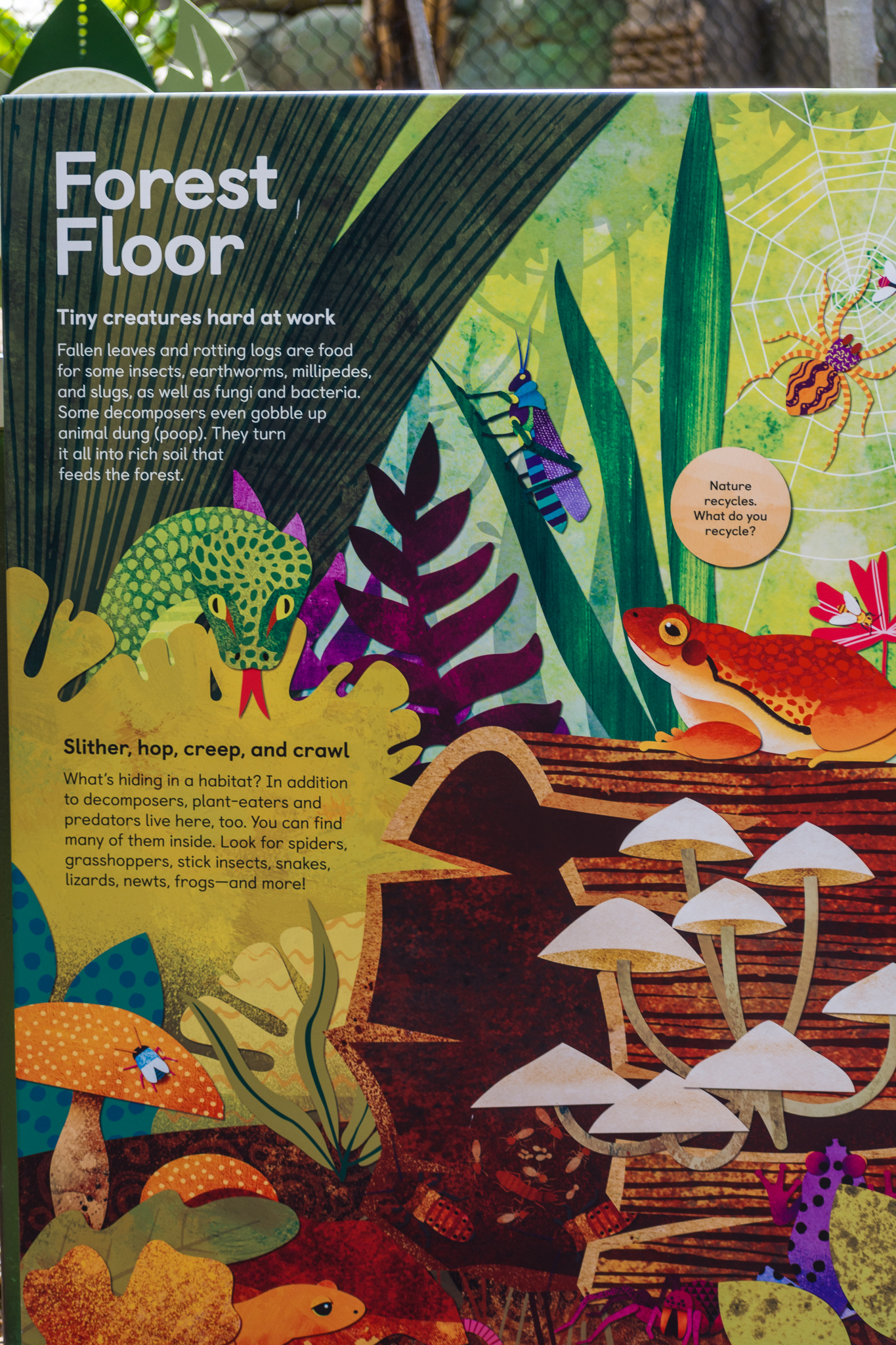 Wildlife Explorers Basecamp