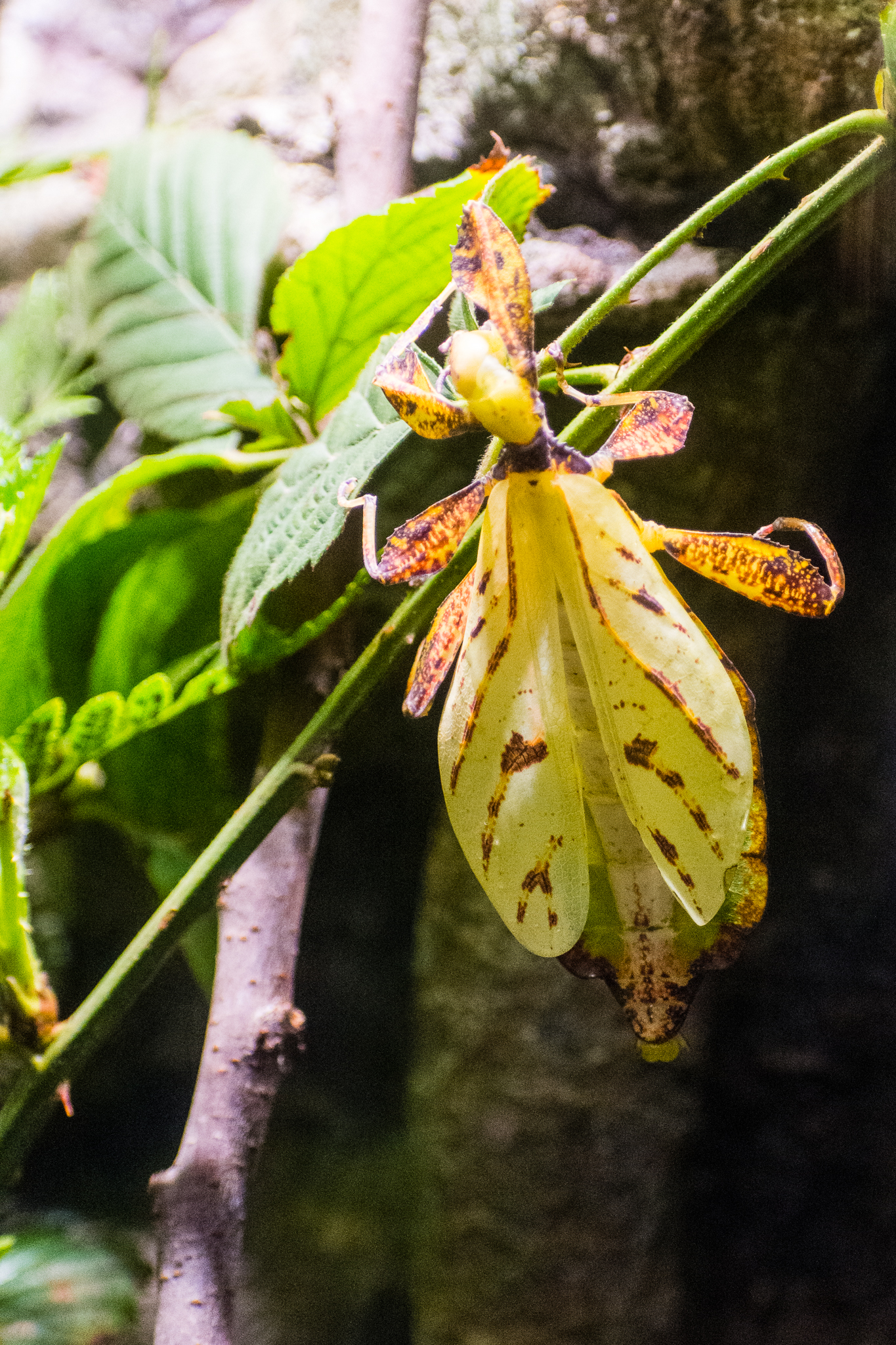 Wildlife Explorers Basecamp