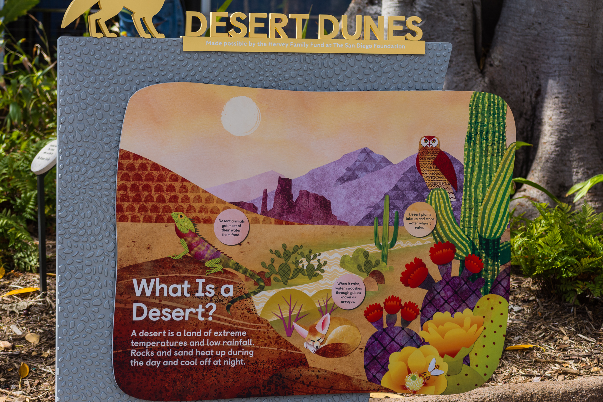 Wildlife Explorers Basecamp