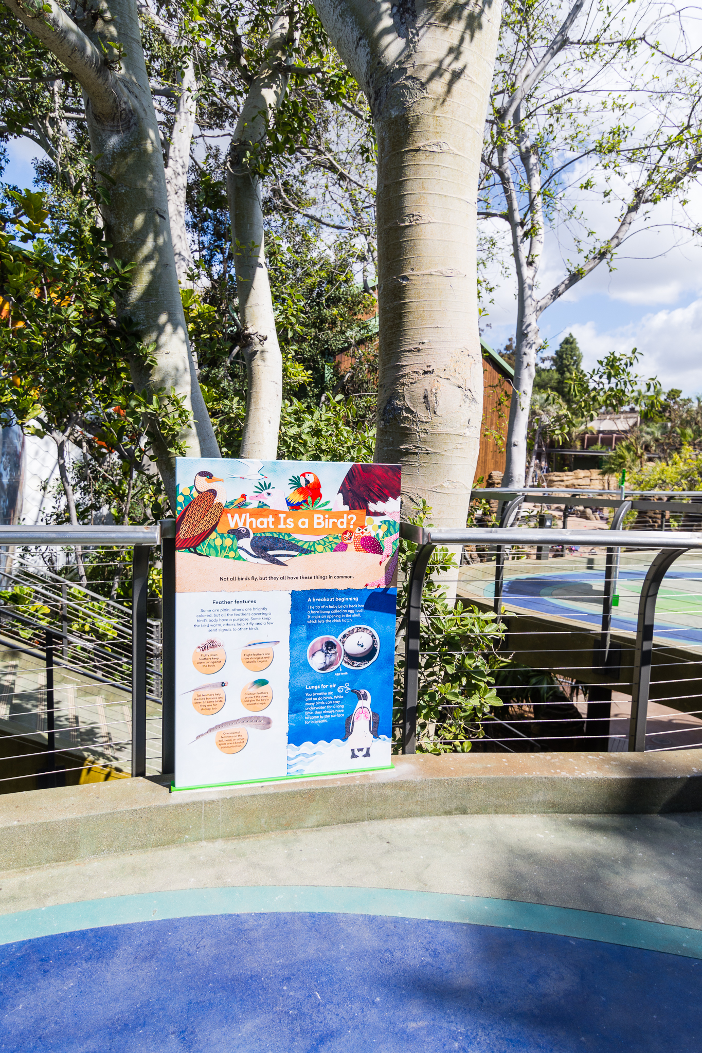 Wildlife Explorers Basecamp