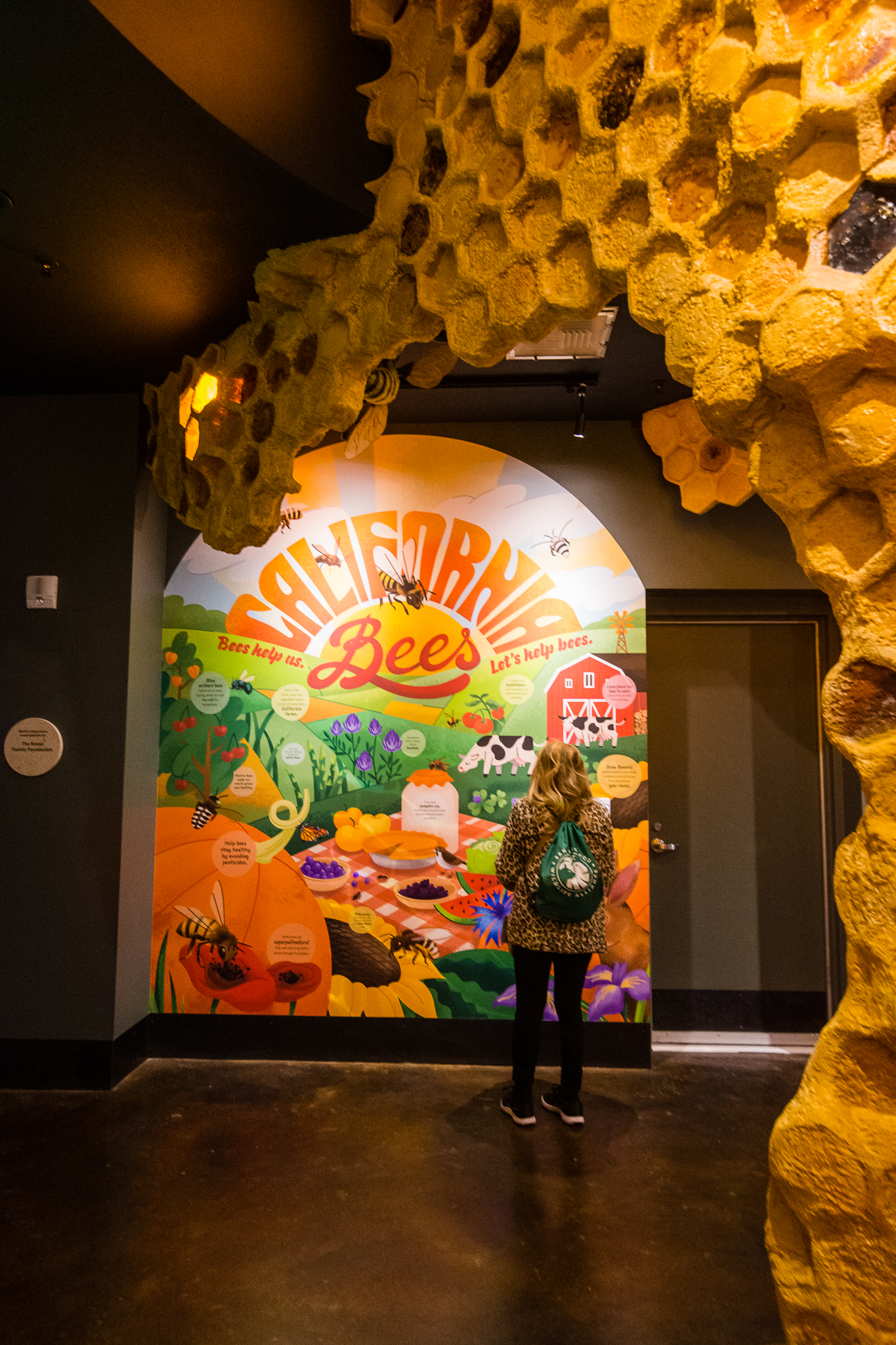 Wildlife Explorers Basecamp