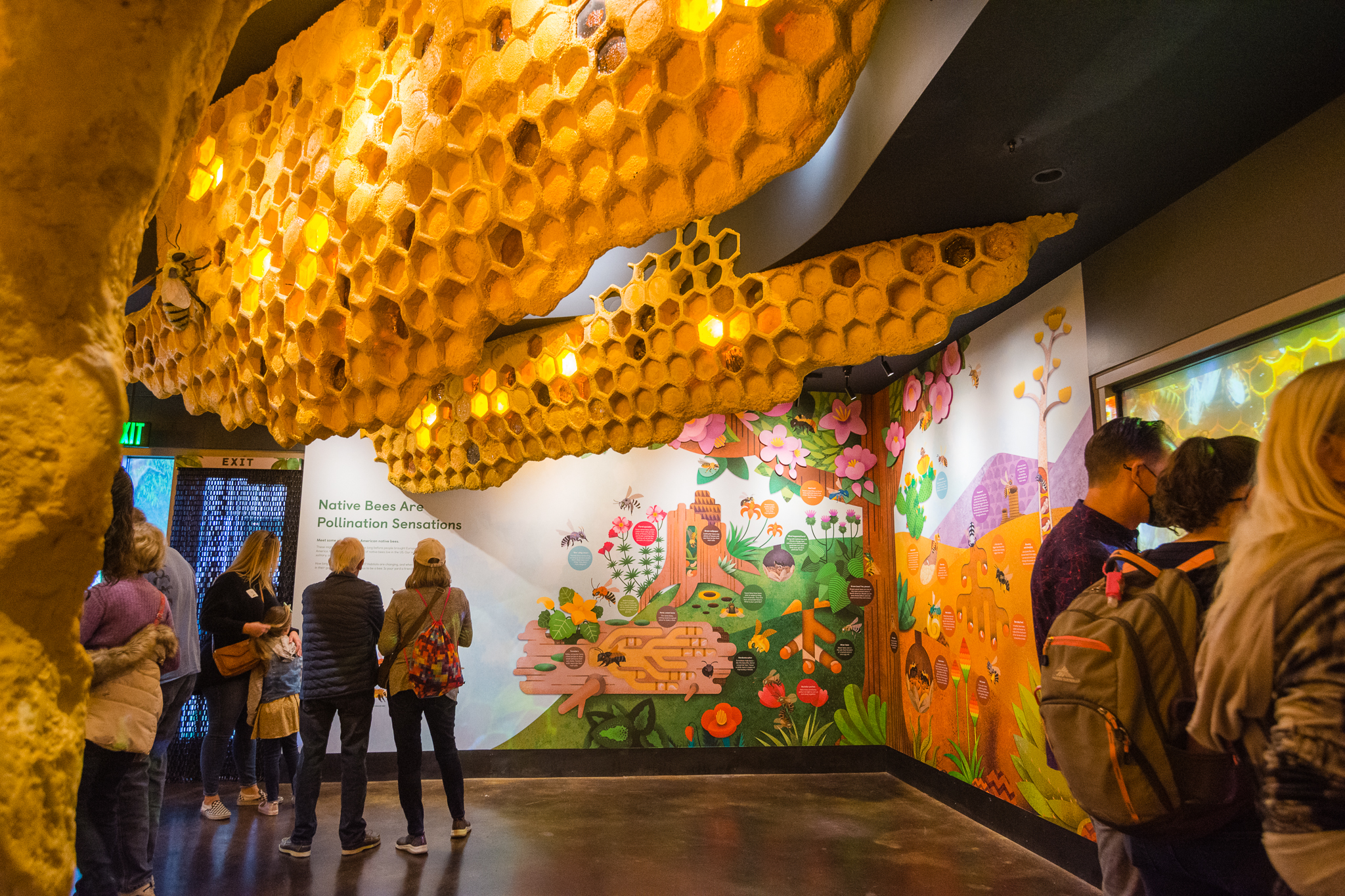 Wildlife Explorers Basecamp