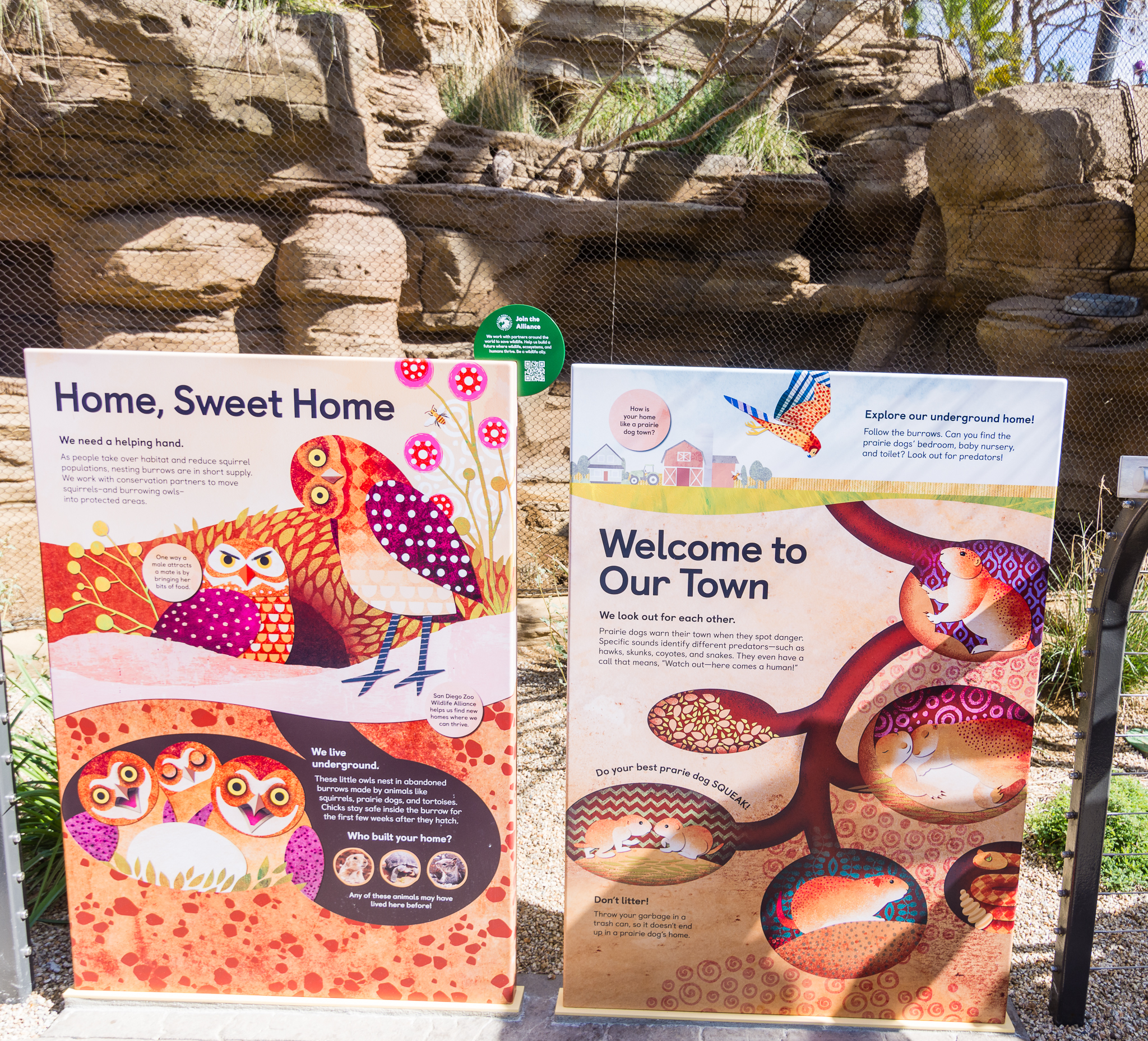 Wildlife Explorers Basecamp