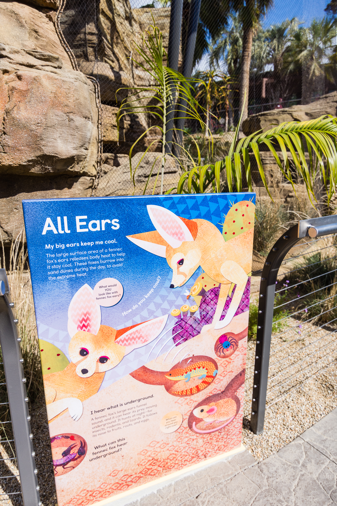 Wildlife Explorers Basecamp