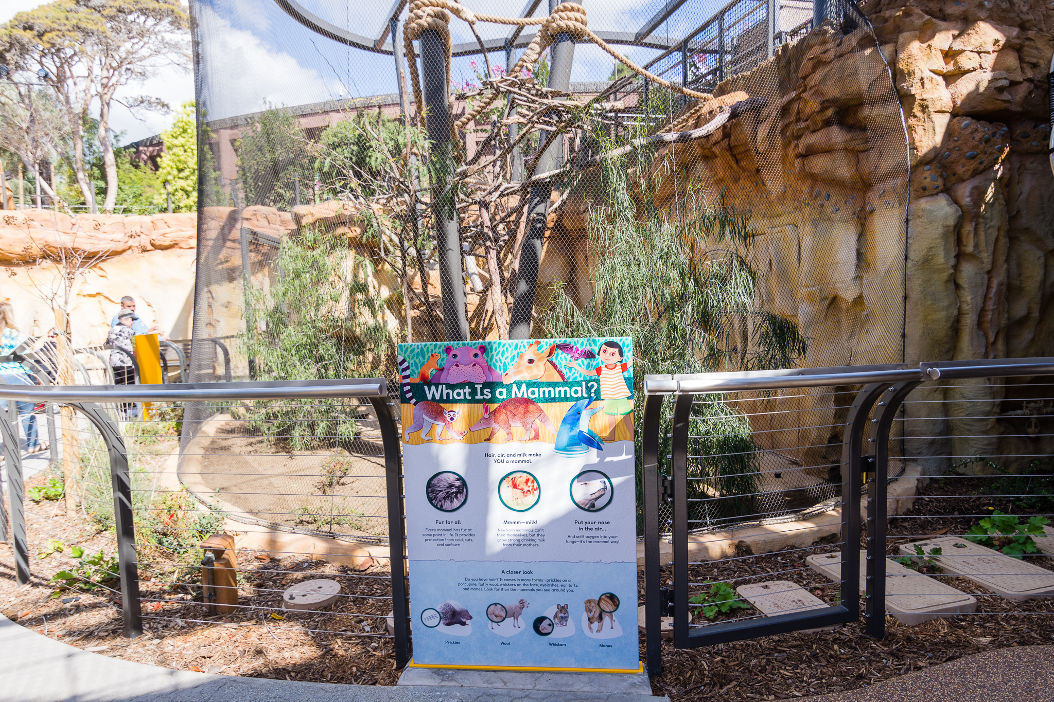 Wildlife Explorers Basecamp