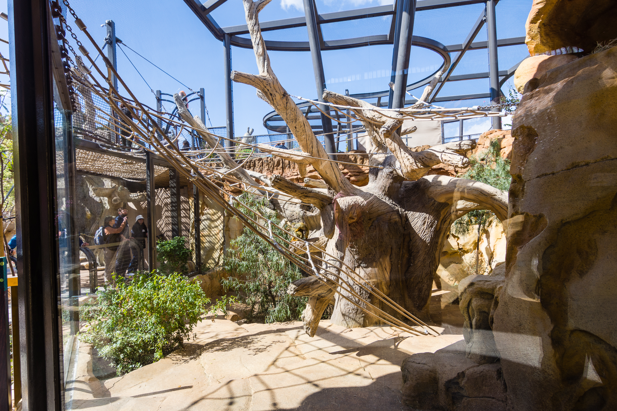 Wildlife Explorers Basecamp