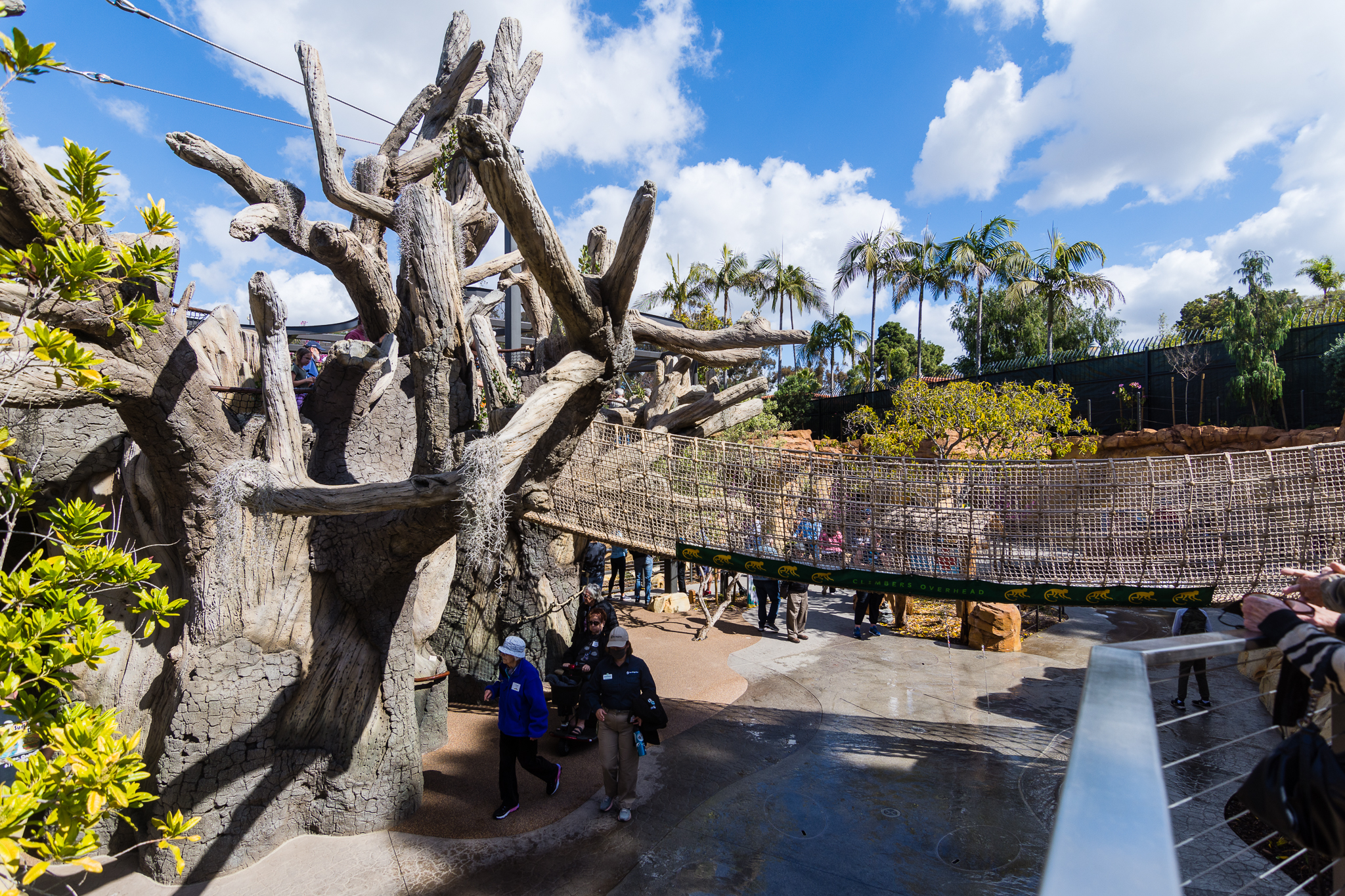 Wildlife Explorers Basecamp