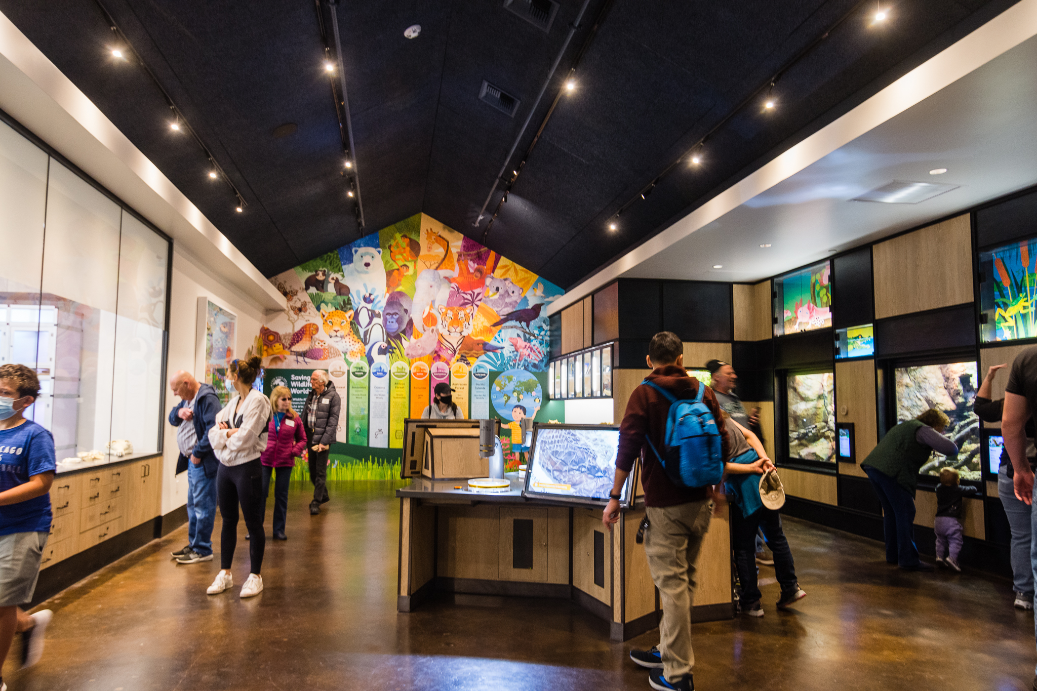 Wildlife Explorers Basecamp