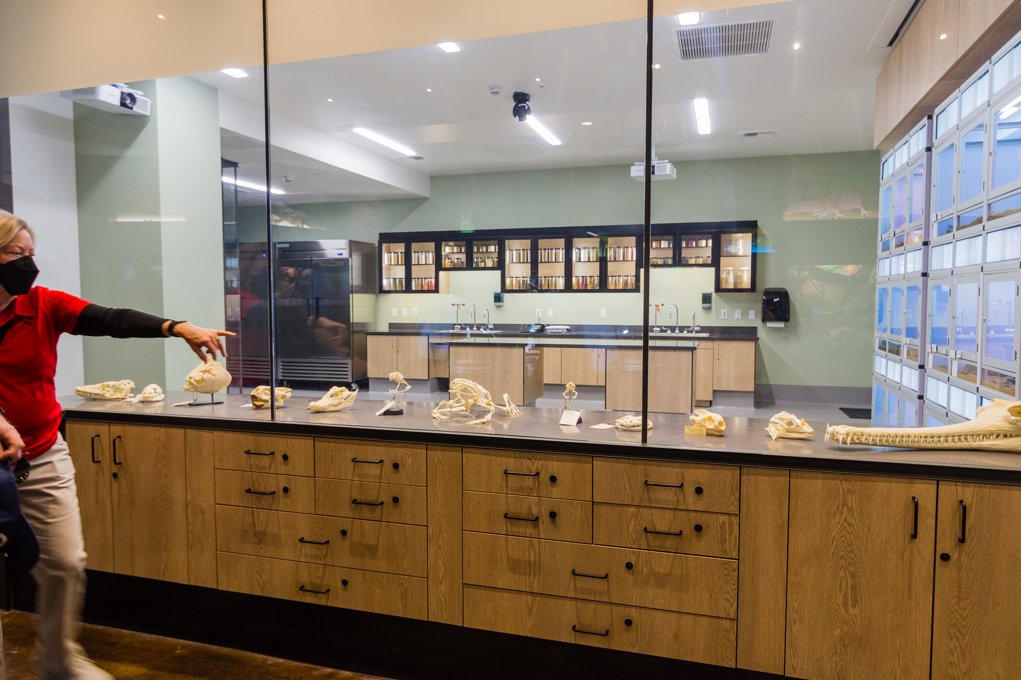 Wildlife Explorers Basecamp