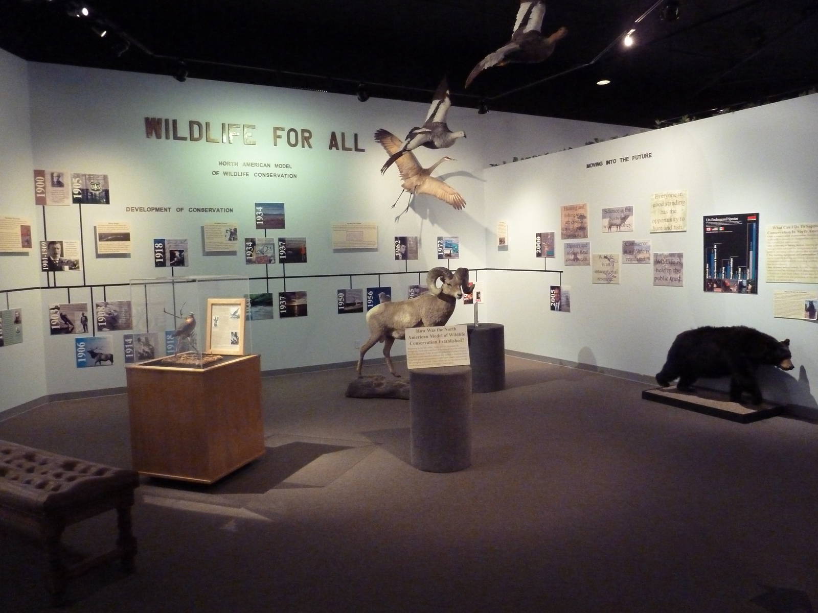 Wildlife For All Hall