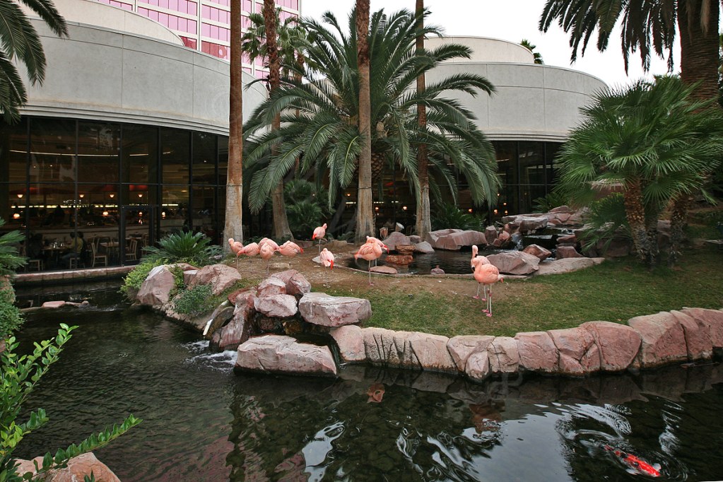 Wildlife Habitat at Flamingo Hotel and Casino