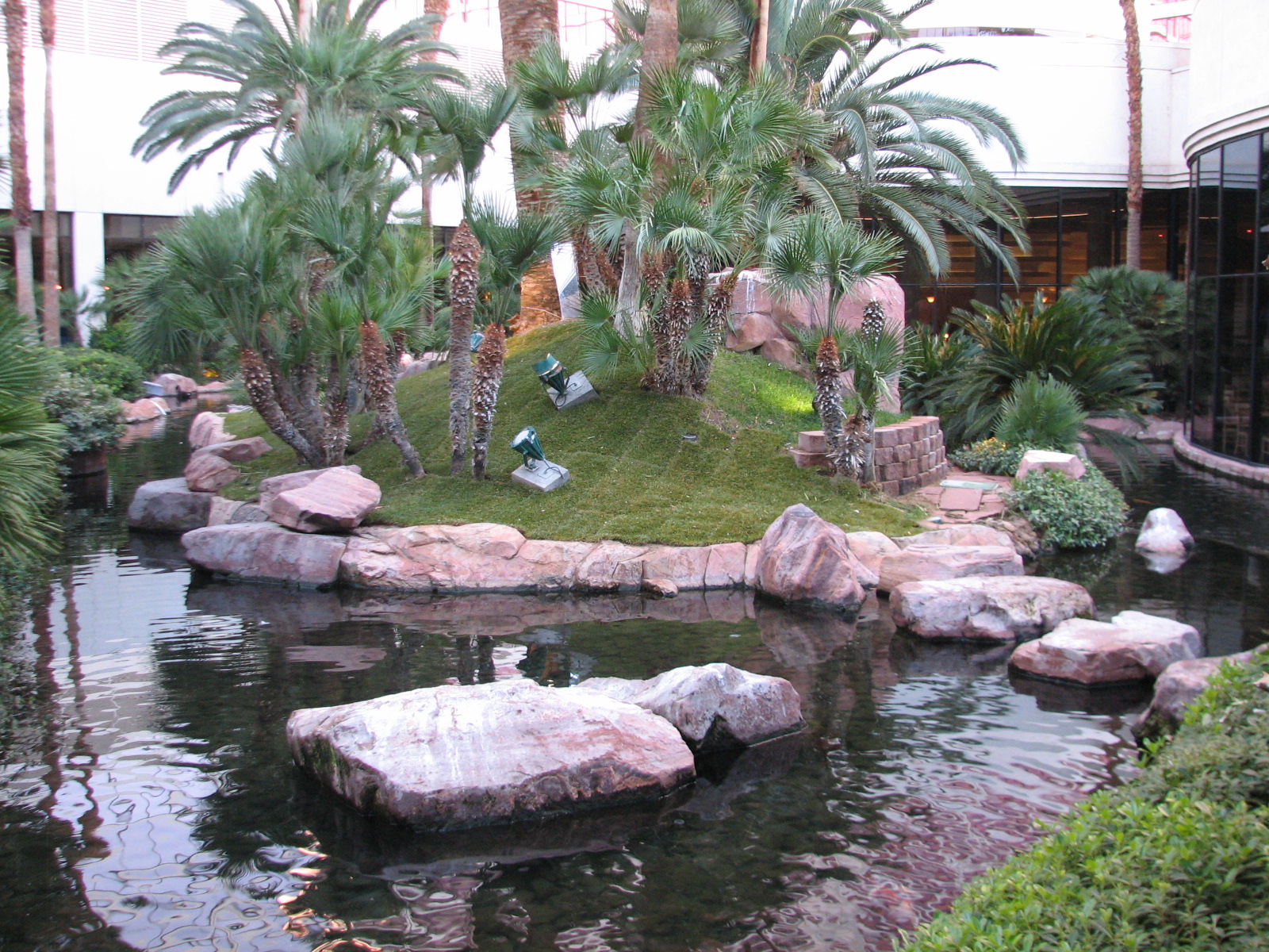 Wildlife Habitat at Flamingo Las Vegas - Chilean Flamingo Exhibit