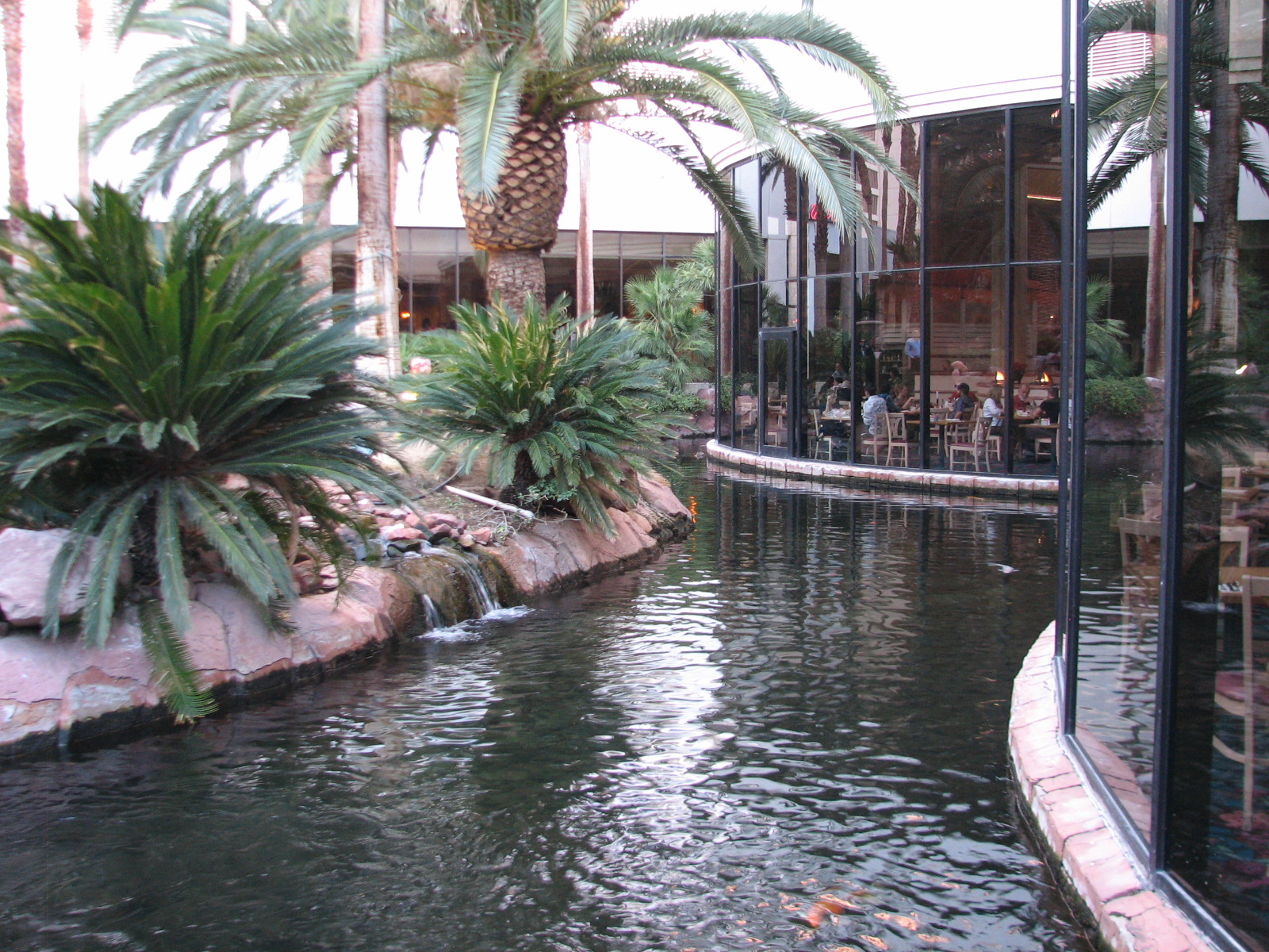 Wildlife Habitat at Flamingo Las Vegas - Chilean Flamingo Exhibit