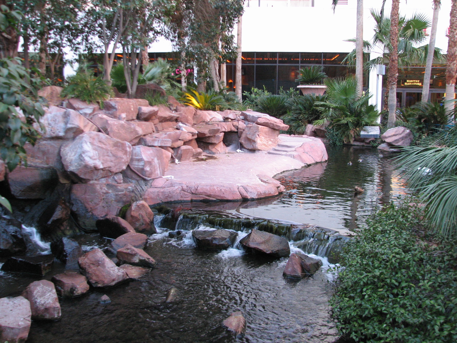 Wildlife Habitat at Flamingo Las Vegas - Former Penguin Exhibit