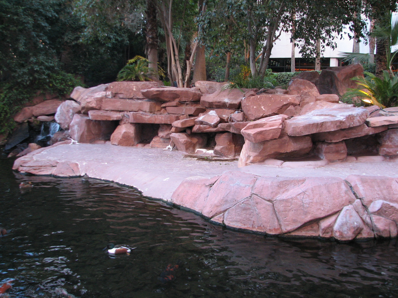 Wildlife Habitat at Flamingo Las Vegas - Former Penguin Exhibit