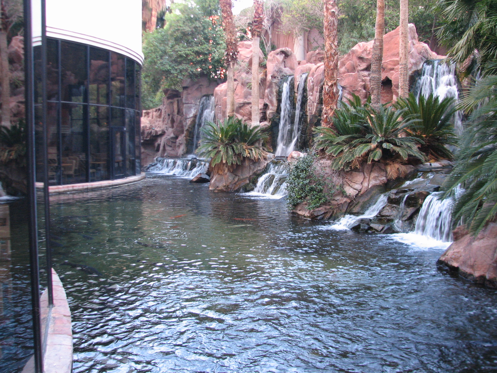 Wildlife Habitat at Flamingo Las Vegas - Paradise Falls Exhibit