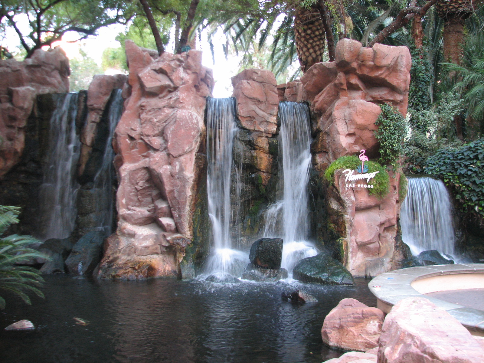 Wildlife Habitat at Flamingo Las Vegas - Paradise Falls Exhibit