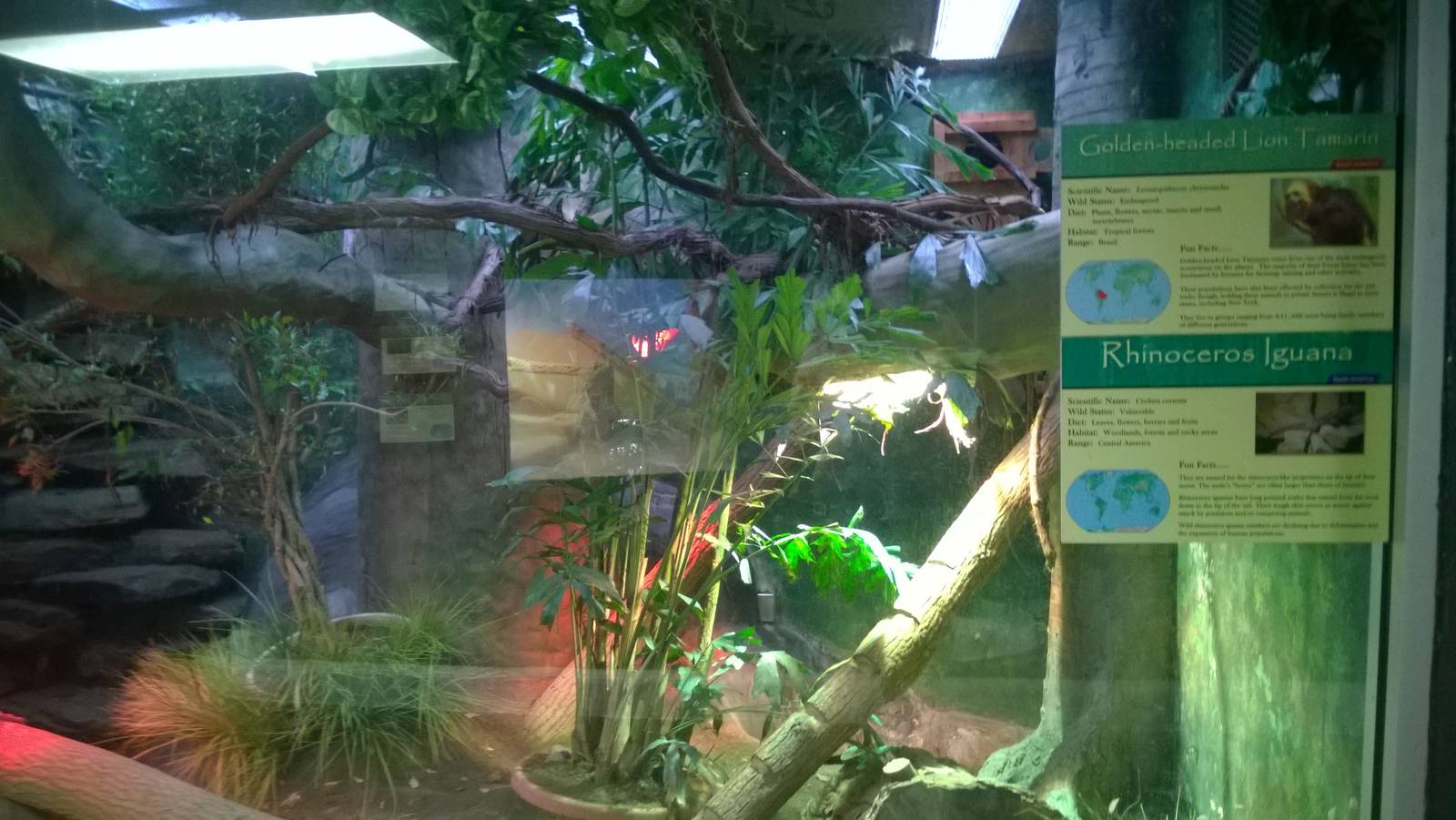 Wildlife Hall