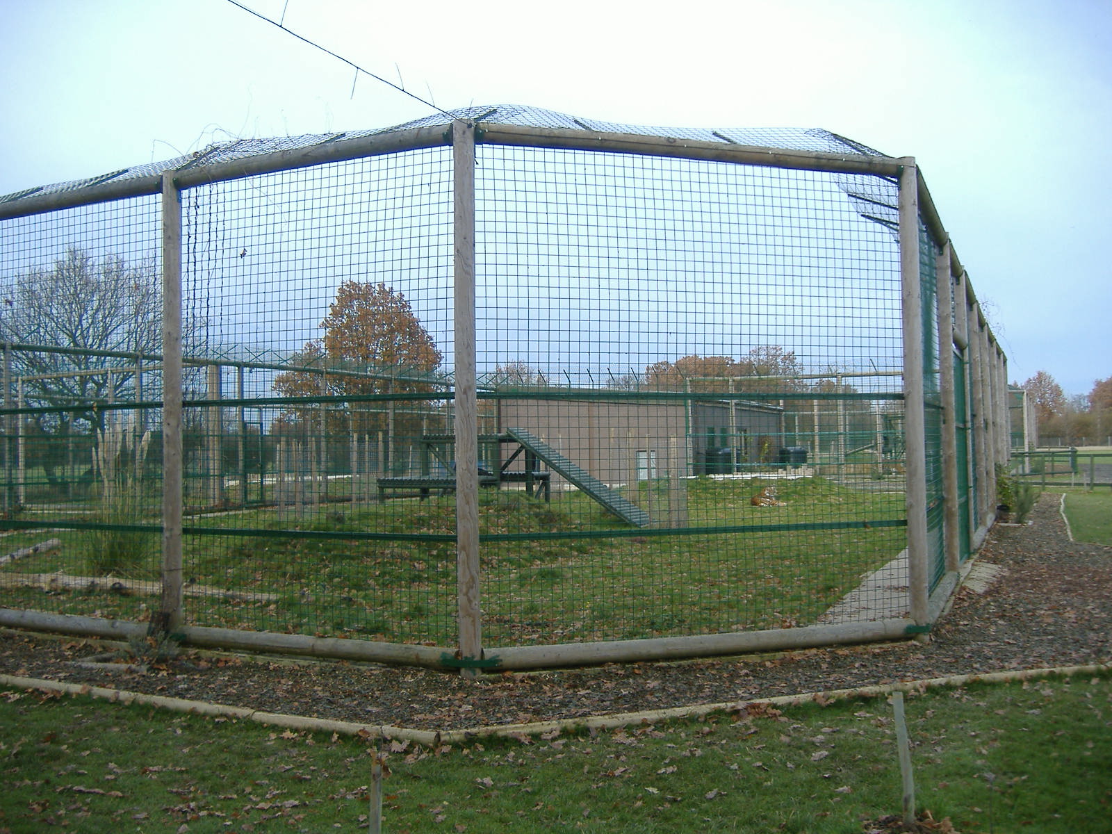 Wildlife Heritage Foundation