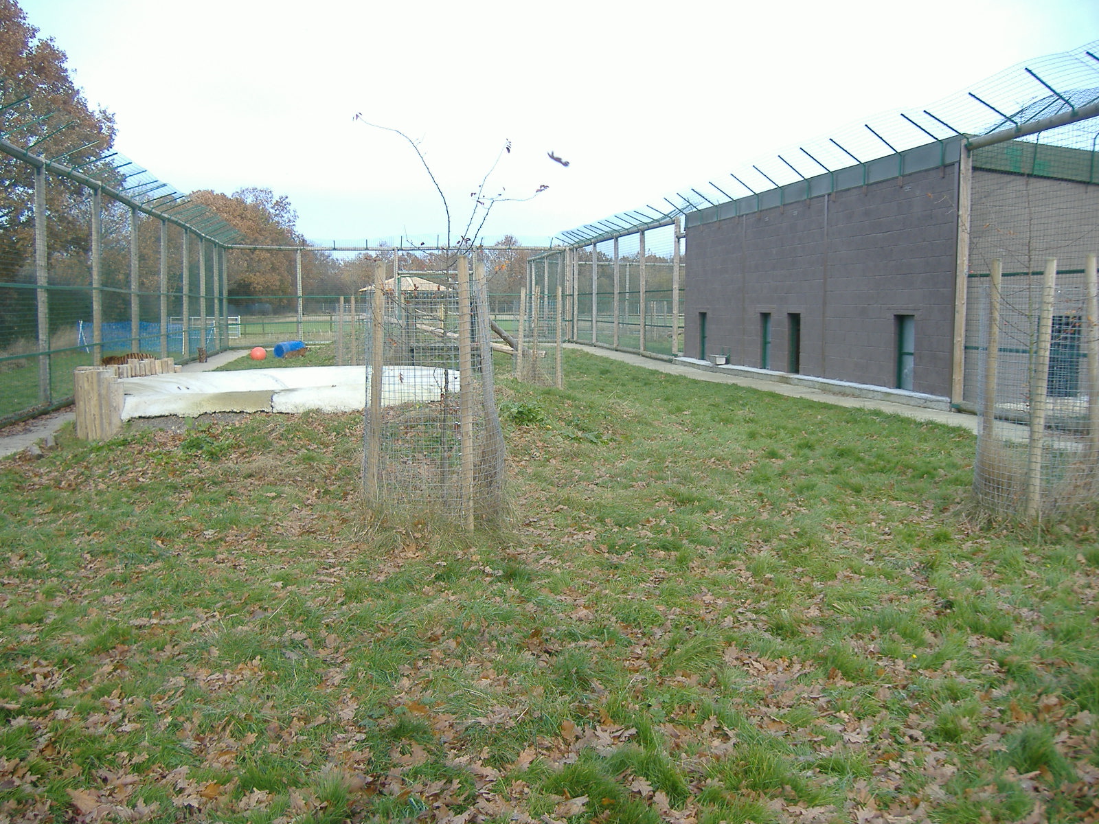 Wildlife Heritage Foundation