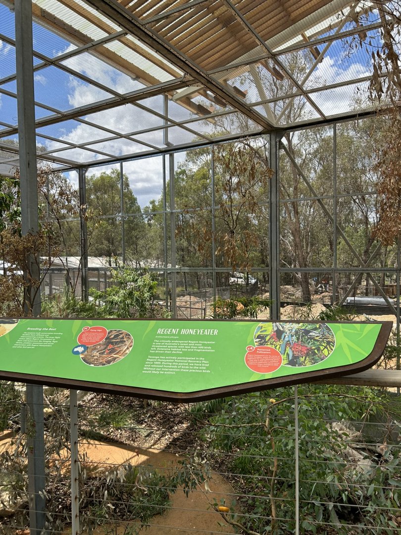 Wildlife Hospital aviary