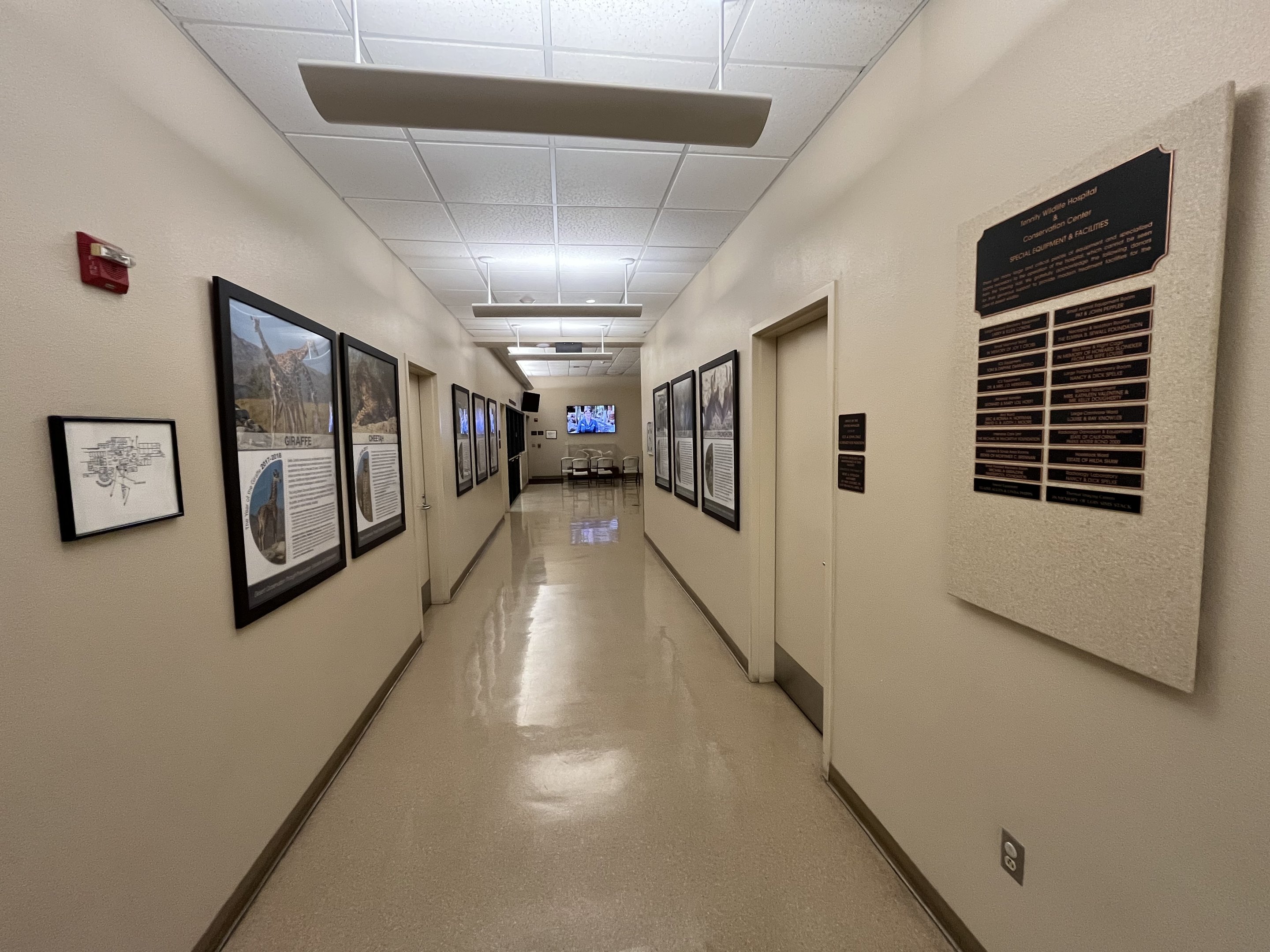 Wildlife Hospital + Conservation Center