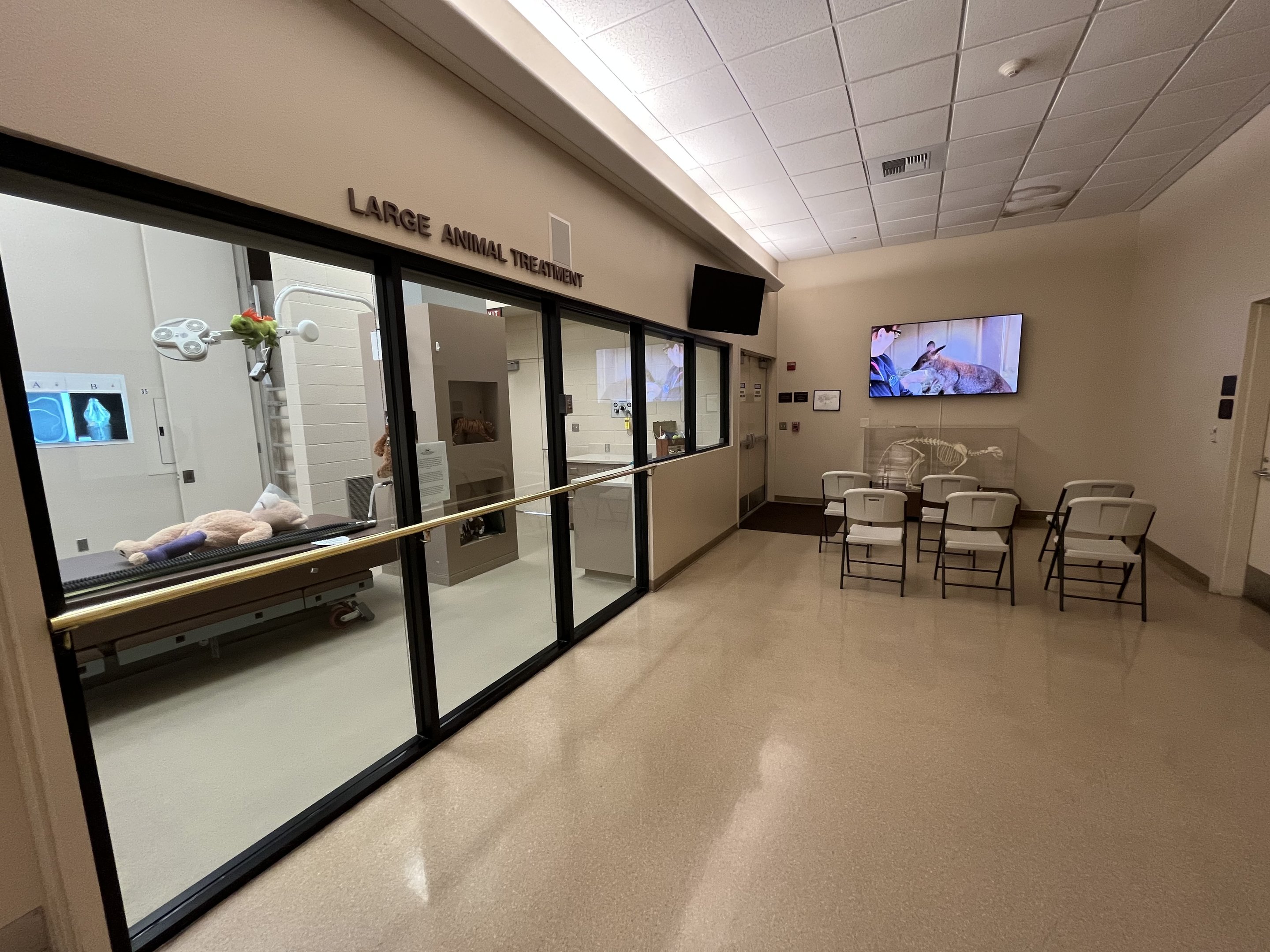 Wildlife Hospital + Conservation Center