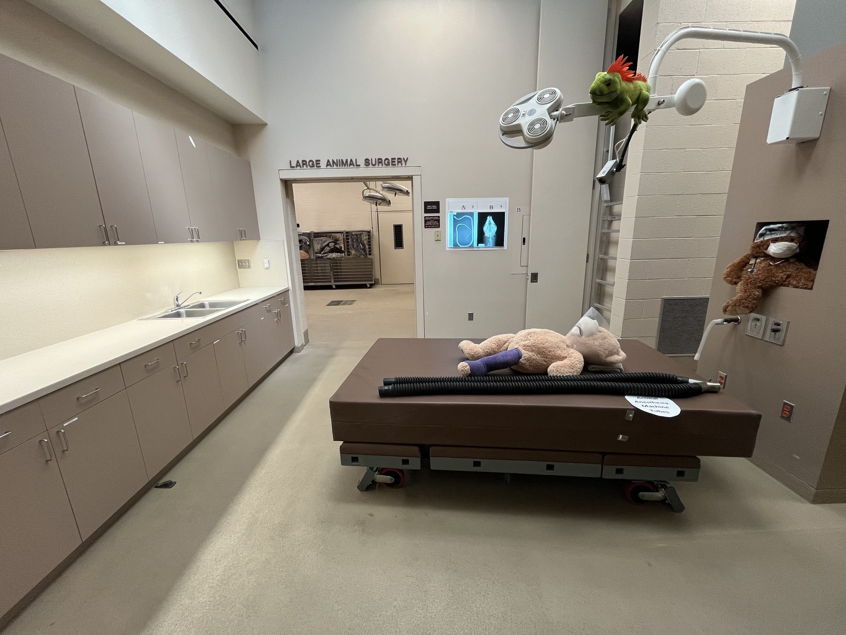 Wildlife Hospital + Conservation Center