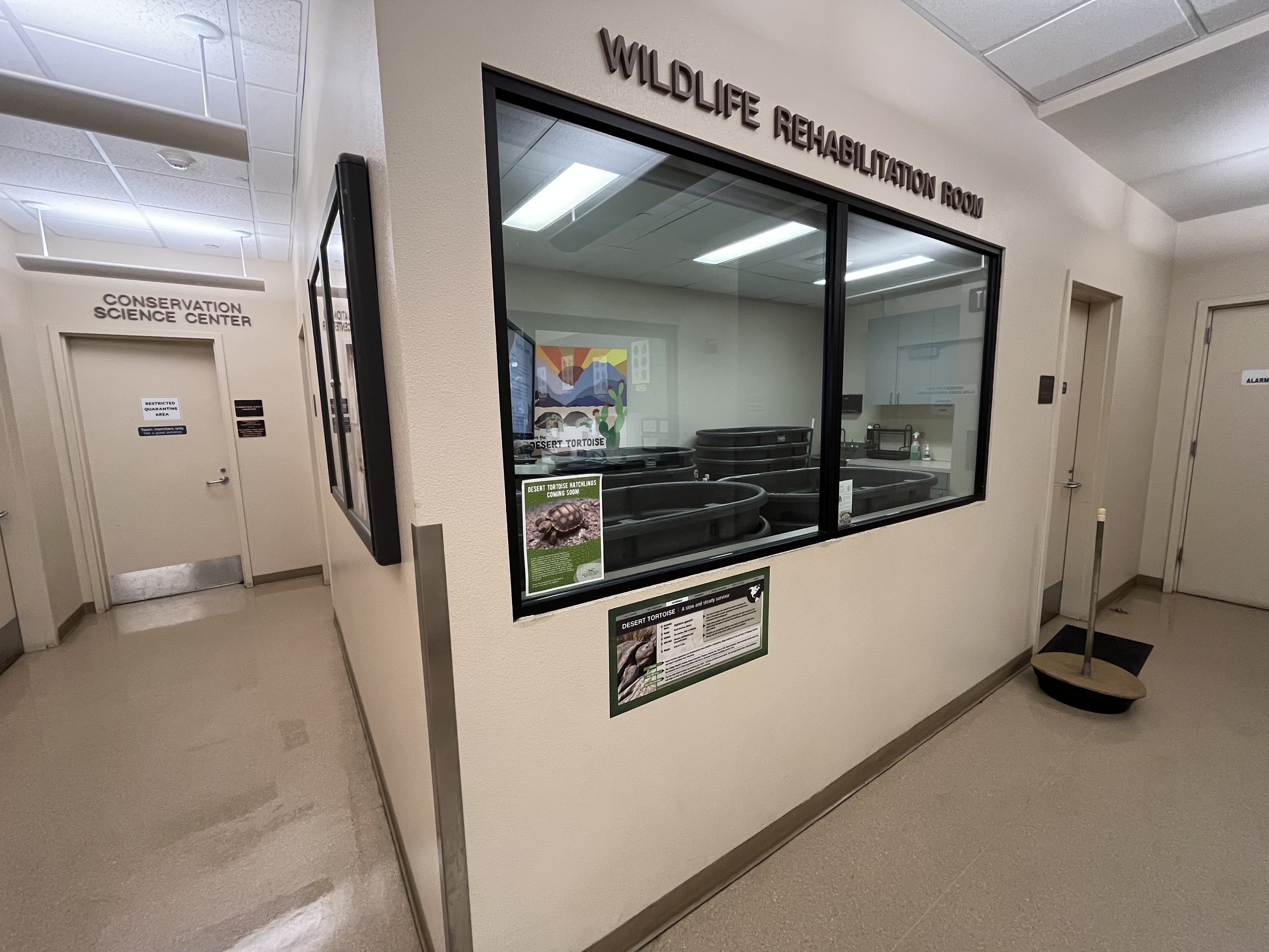 Wildlife Hospital + Conservation Center