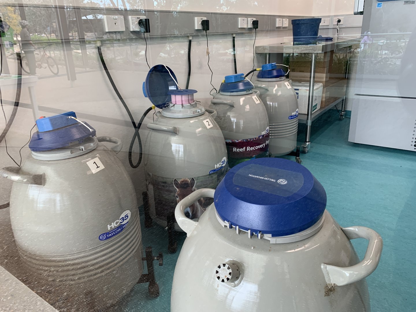 Wildlife Hospital - Cryodiversity Bank Tanks