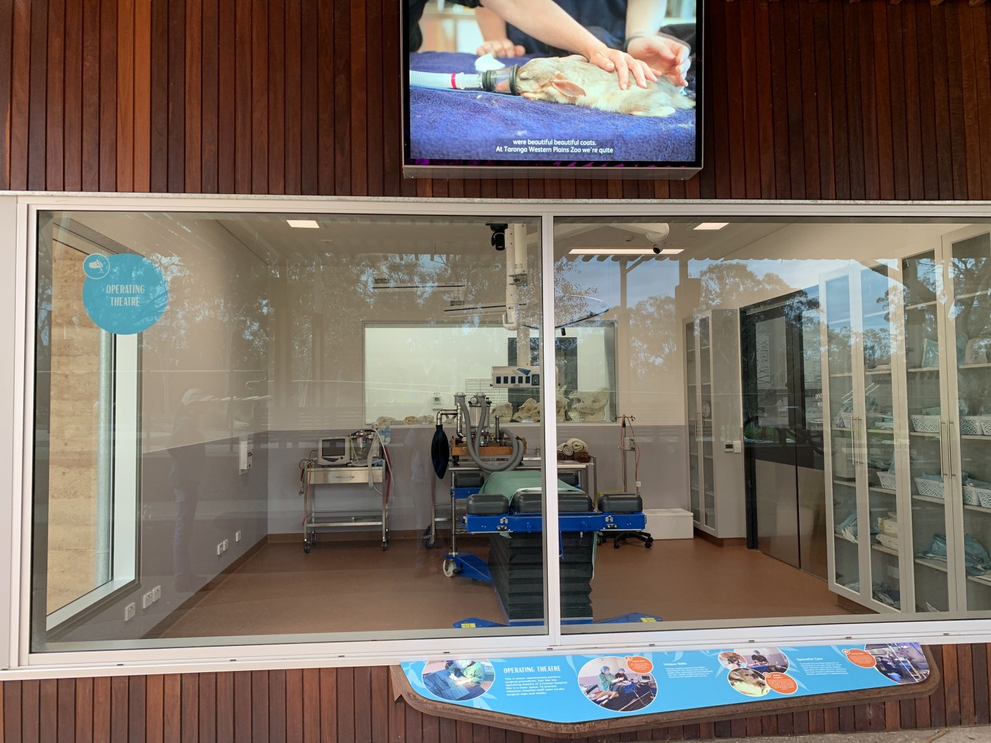 Wildlife Hospital - Operating Theatre Viewing Window