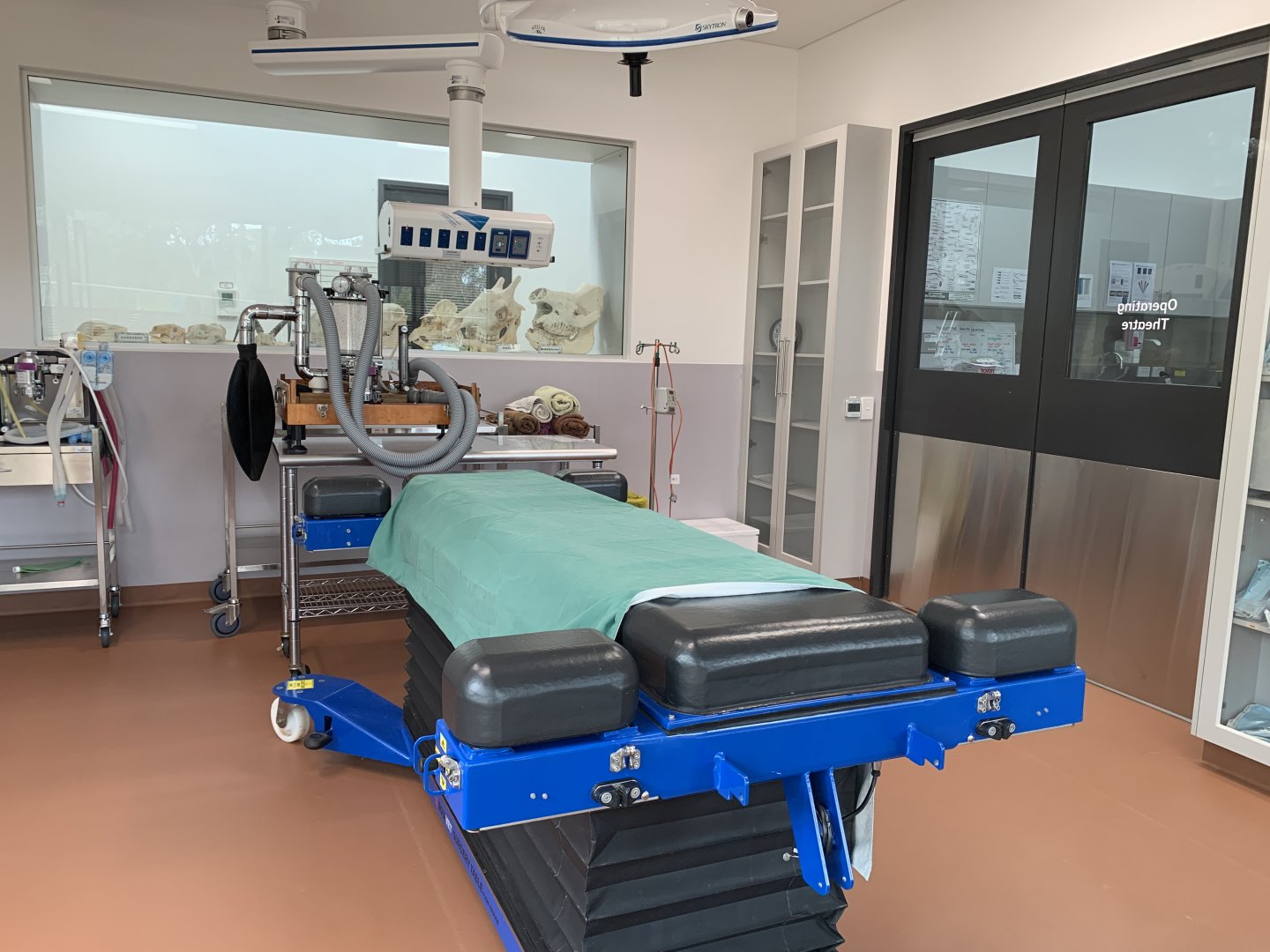 Wildlife Hospital - Operating Theatre