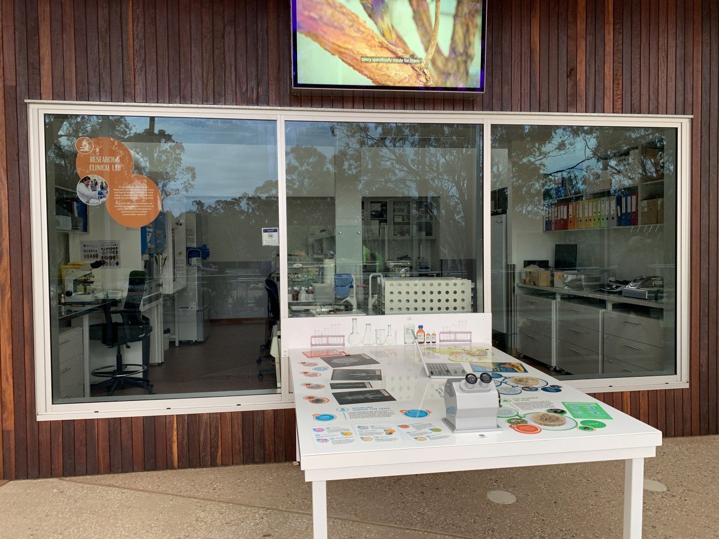 Wildlife Hospital - Research and Clinical Lab