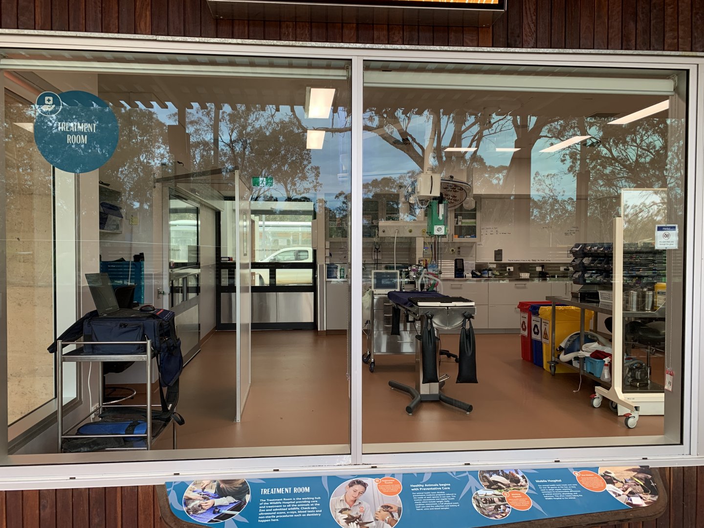 Wildlife Hospital - Treatment Room Viewing Window