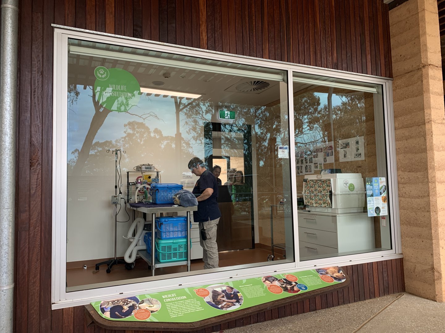 Wildlife Hospital - Wildlife Consultation