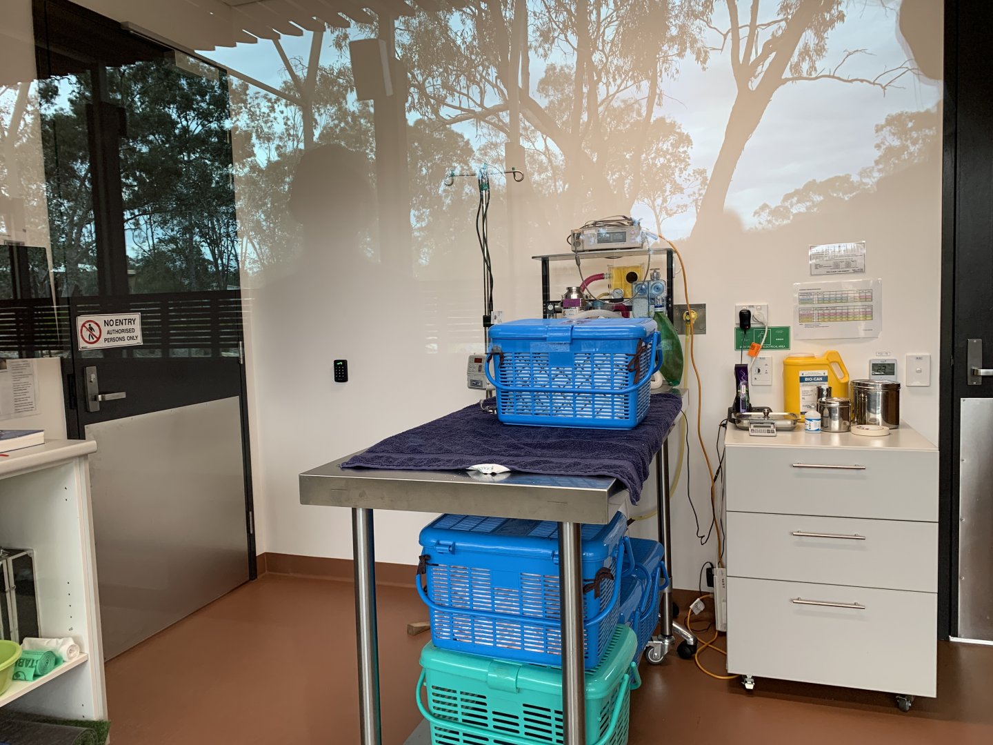 Wildlife Hospital - Wildlife Consultation