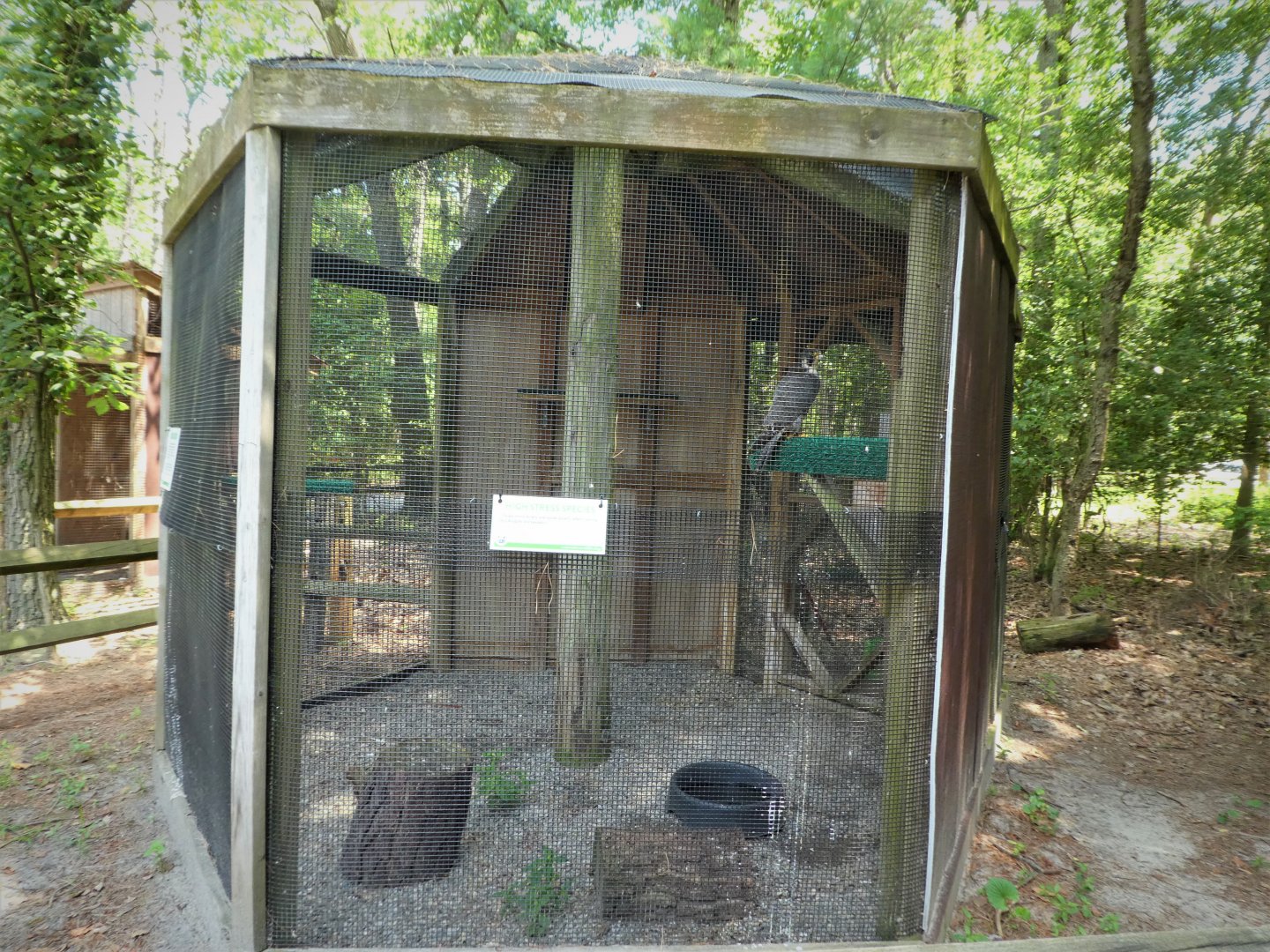 Wildlife Housing Area - American Peregrine Falcon Exhibit